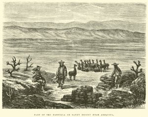 Teil der Pampilla oder Sandwüste bei Arequipa von Edouard Riou